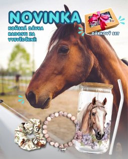 Dárkový set - horse